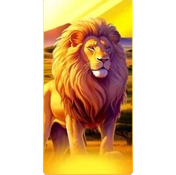 Lion
Safari